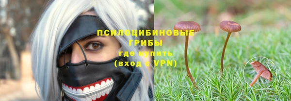 стафф Беломорск