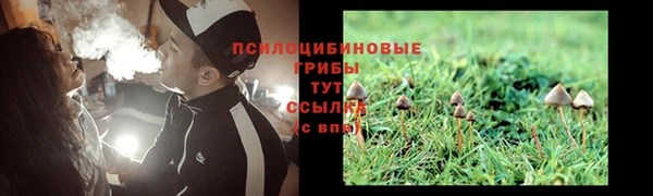 стафф Беломорск