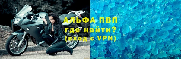 индика Магас