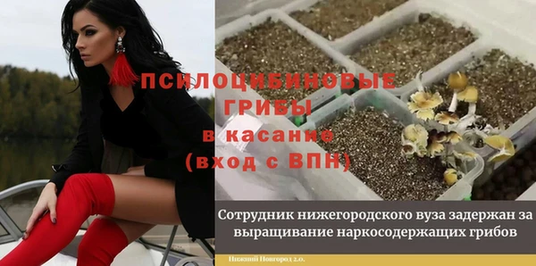 стафф Беломорск