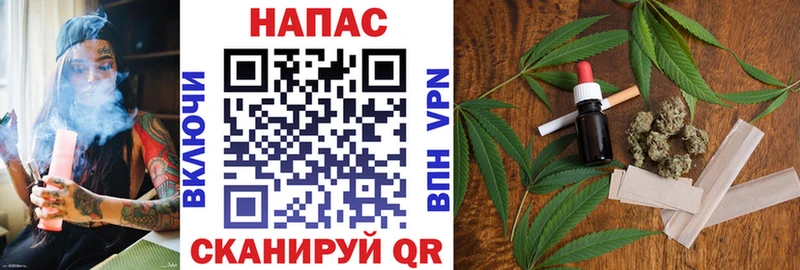 где купить   нарко площадка как зайти  Бошки марихуана AK-47  Верхняя Пышма 