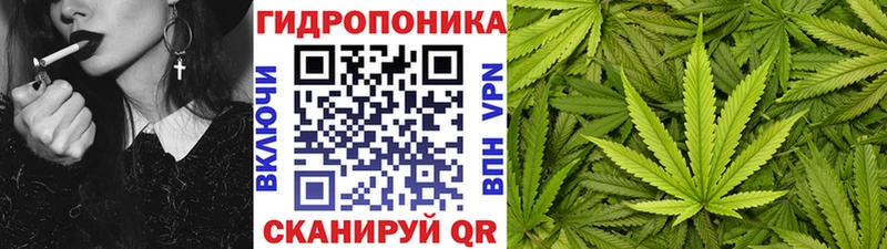 Каннабис OG Kush Верхняя Пышма